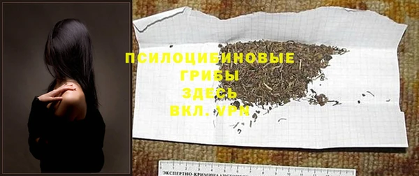 мдпв Липки