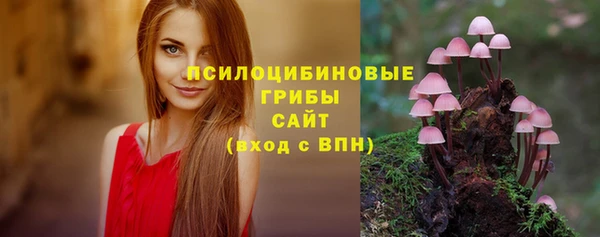 дурь Ладушкин