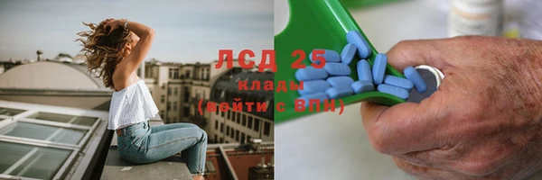 трава Лабытнанги