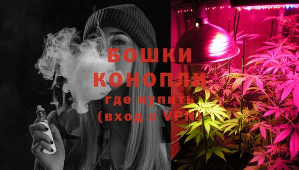 мдпв Липки