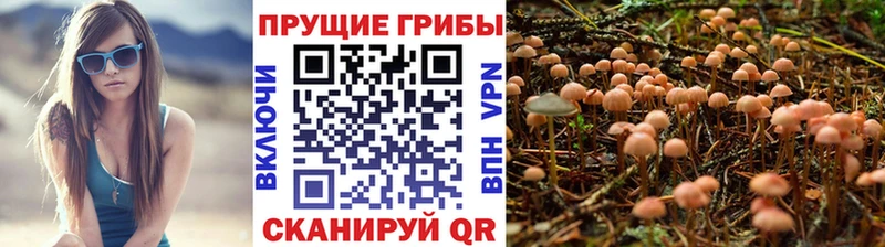 MEGA ТОР  Олёкминск  Псилоцибиновые грибы мицелий 